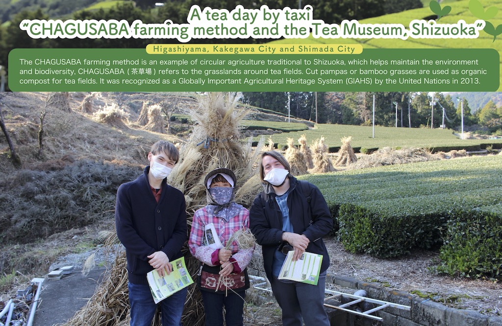 A Tea Day By Taxi CHAGUSABA Farming Method And The Tea Museum