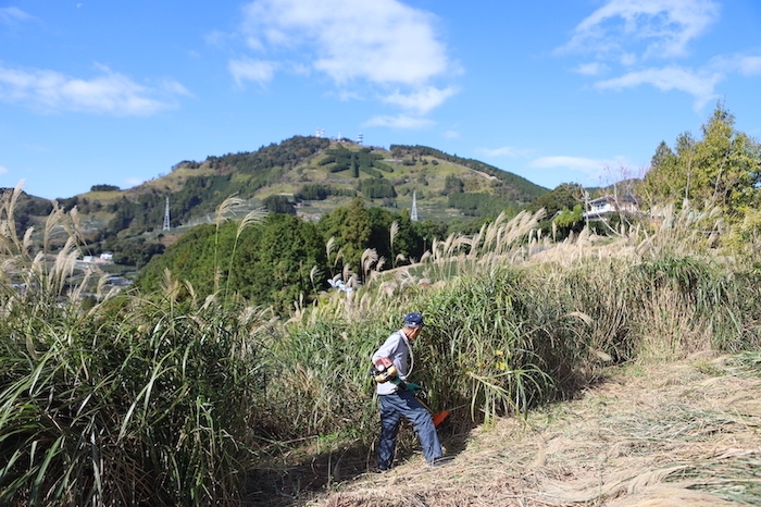 自然と人間の調和、世界農業遺産「静岡の茶草場農法」(掛川市東山)