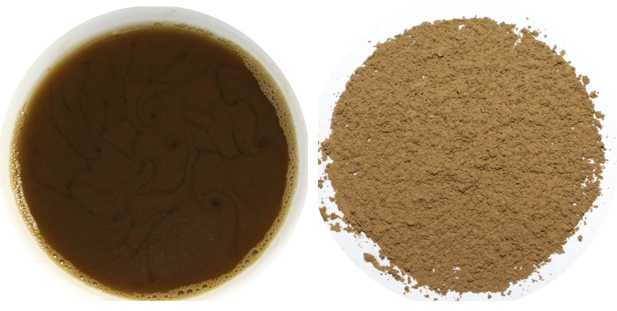 Product Information Kakegawa Hojicha (roasted green tea) Powder