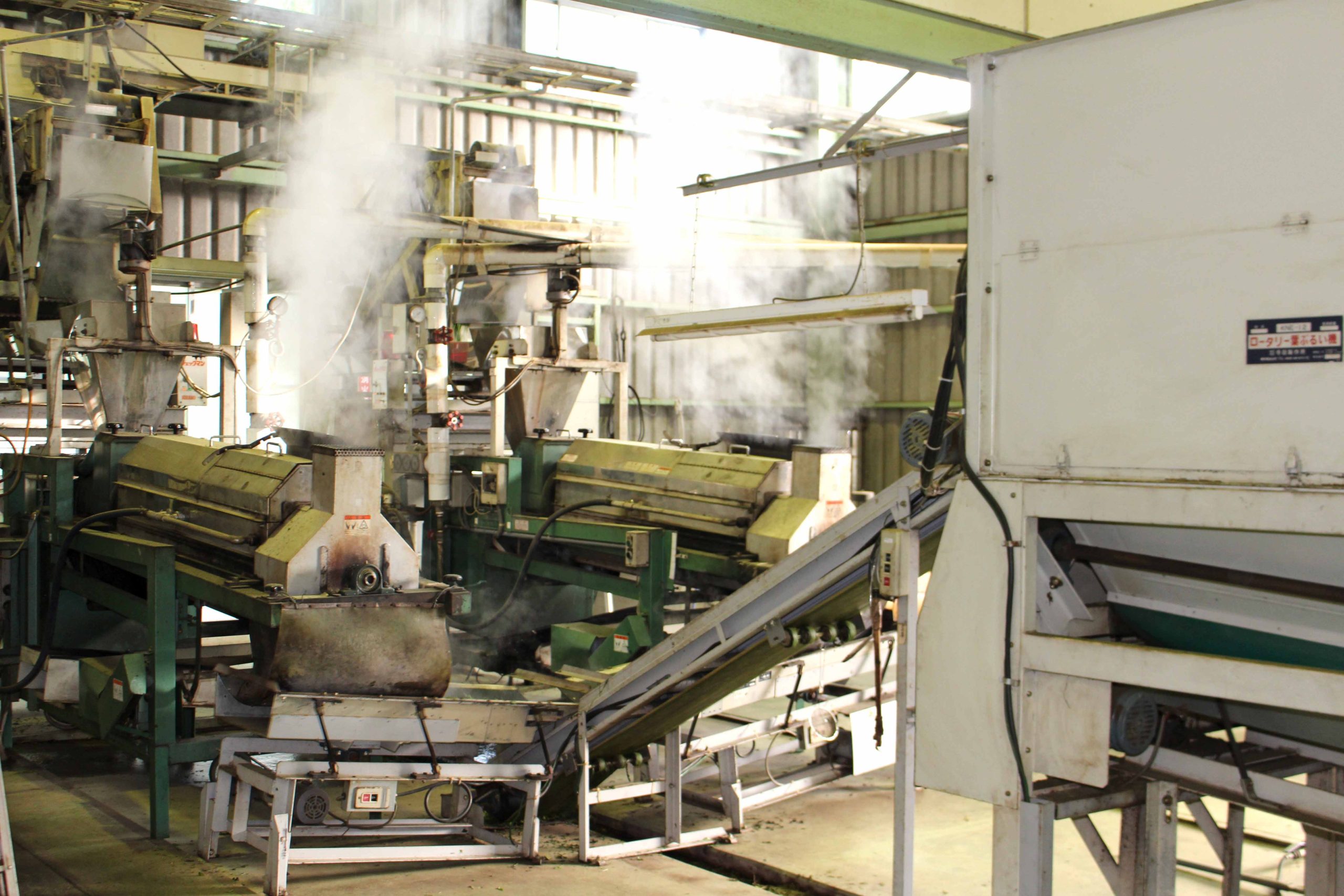 Green tea processing factory