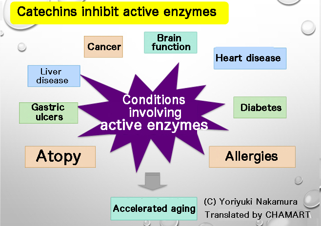 Benefits of Tea 4 “Catechins”