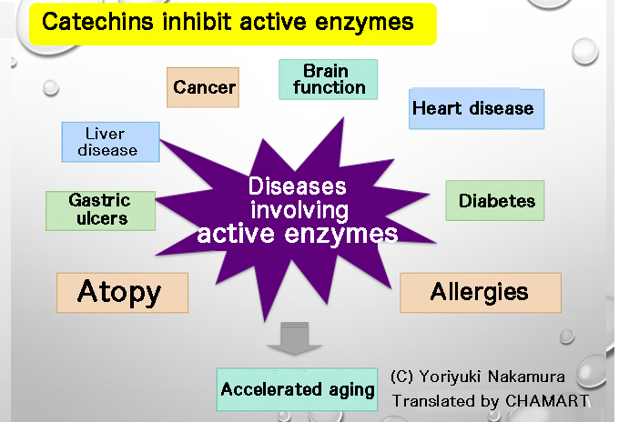 Benefits of Tea 4 “Catechins” #